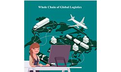 What's at the heart of the international logistics ecosystem